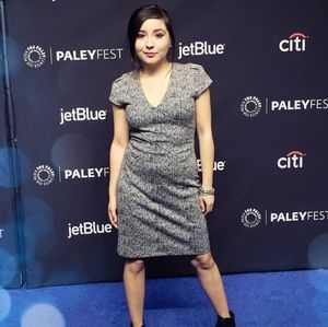 Express SMALL Plaid Dress